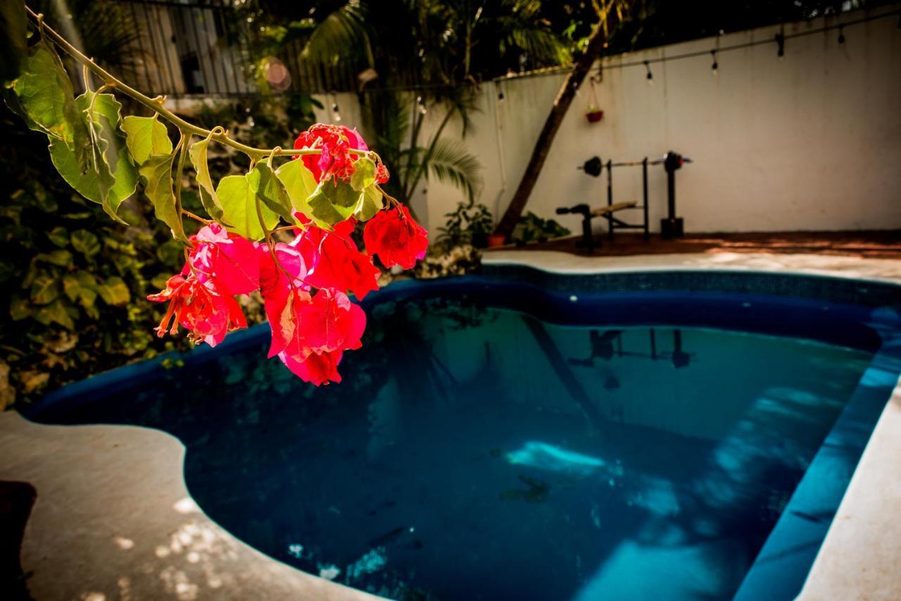 Casa Kimaya Hotel Cancun Bagian luar foto